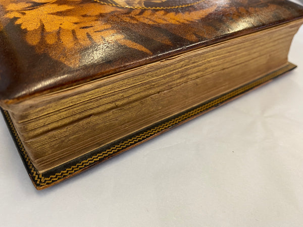 Rare Maucheline Ware The Poetical Works Of Sir Walter Scott Book 1876