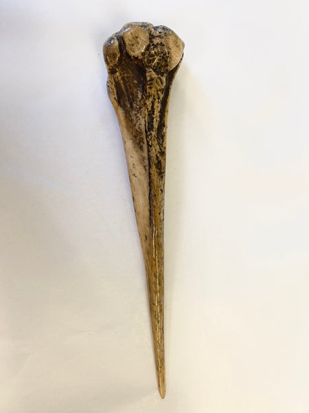 Antique 19th Century Bone Sailor’s Fid