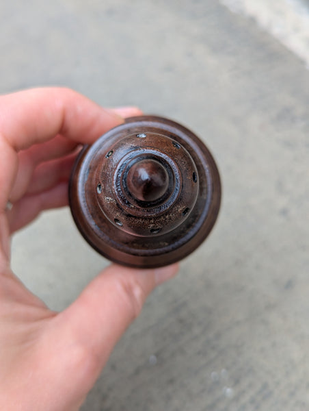 19th Century Treen Fruit Wood Shaker