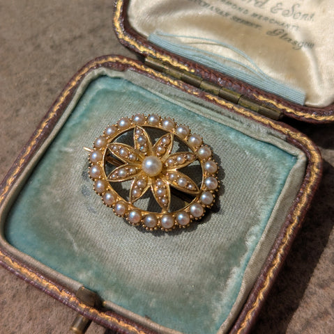 Edwardian 15ct Gold Seed Pearl Daisy Brooch